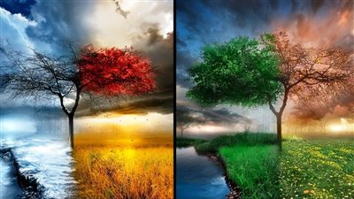 حالة الطقس مصر و باقي البلدان العربية 