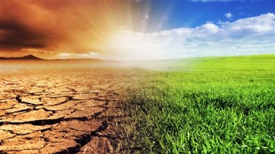 أثر التغير المناخي على الحياة اليومية: ما الذي يمكننا فعله؟