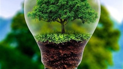 الإمارات تحتفل باليوم العالمي للبيئة بمشاريع خضراء جديدة