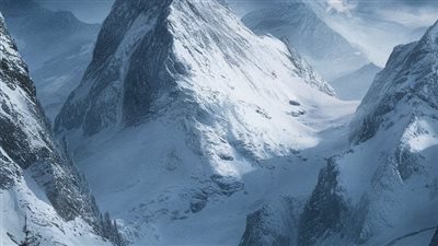 حيوانات القطب الشمالي تتغير جينياً لمواجهة الاحتباس الحراري