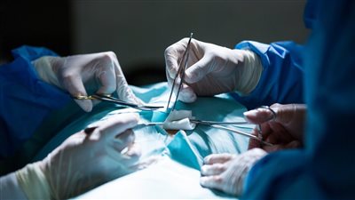 زراعة أول كبد بشري في معمل باستخدام الخلايا الجذعية فقط