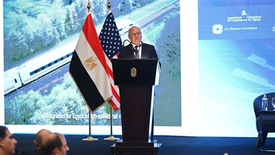 مصر تخطط لربط السكك الحديدية بين آسيا وأوروبا