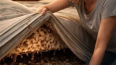 لمدة ثلاث شهور 