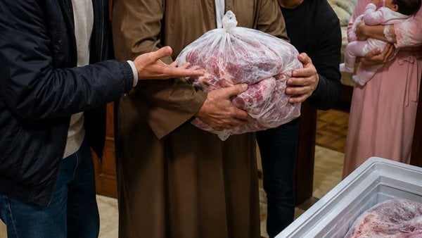 لمحة نيوز