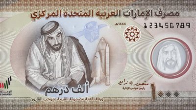 الدرهم الإماراتي يحافظ على استقراره أمام الجنيه المصري ليوم 2 سبتمبر 2026