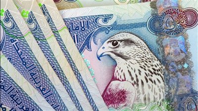 الدرهم الإماراتي يتحرك قرب 14.1 جنيه في البنوك المصرية ليوم 28 سبتمبر 2026 مع بداية تعاملات الأسبوع 