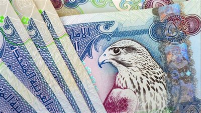 الدرهم الإماراتي يستقر قرب 14.25 جنيهًا في البنوك المصرية ليوم 5 أكتوبر 2026 وسط تحركات محدودة للعملات العربية