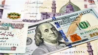الدولار يرتفع لأعلى مستوى شهري مقابل الجنيه المصري