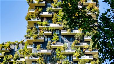 صيحة الزراعة الحضرية تنتشر بقوة: هل تصبح الحدائق العمودية جزءًا من كل منزل؟