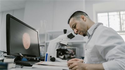 اكتشاف جديد يُعد الأوسع من نوعه: بقاء بويضات بشرية صالحة للاستخدام لعقود عبر خفض معدلات إعادة التدوير الداخلية للخلايا 