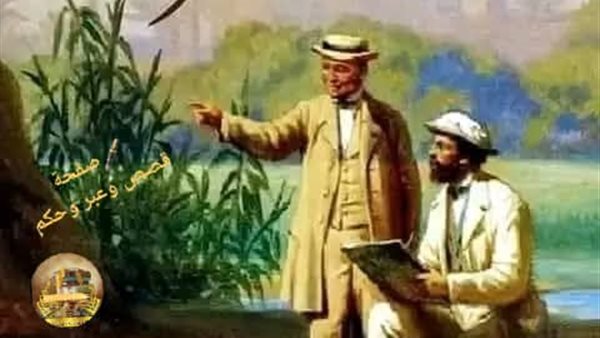 لمحة نيوز