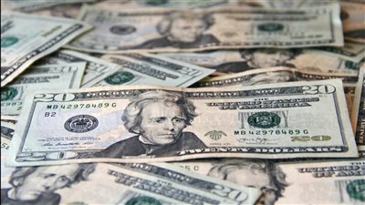 ارتفاع طفيف في سعر الجنيه المصري أمام الدولار اليوم وسط استقرار التعاملات المصرفية ليوم 24 نوفمبر 2025