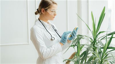 دراسة حديثة تؤكد أن علاج مرض سرطان الدم الليمفاوي المزمن عبر بروتوكولات قصيرة المدى قد يكفي لإيقاف تقدمه