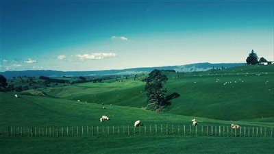 اكتشاف Waikato في نيوزيلندا بوابة للسفر غير التقليدي : مطاعم طبيعية وحدائق خضراء ومناظر طبيعية 