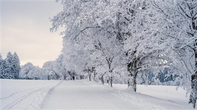 اتجاه متسارع نحو السياحة الشتوية البرية في أوتاراخاند بالهند من خلال إطلاق جولات رؤية فهد الثلج