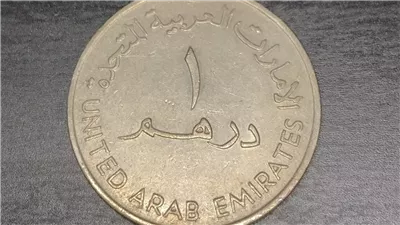 استقرار نسبي لسعر الدرهم الإماراتي أمام الجنيه المصري في البنوك اليوم 21 يناير 2026