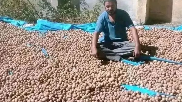لمحة نيوز