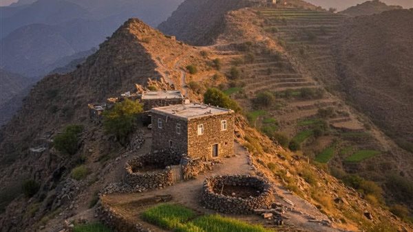 لمحة نيوز