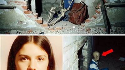 بنت اختفت سنة 1976… وبعد 30 سنة، صنايعي بنا لقى السر ده…